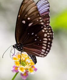 Michael Kannenberg - kamich.de