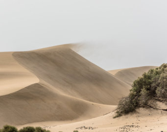 Michael Kannenberg - kamich.de