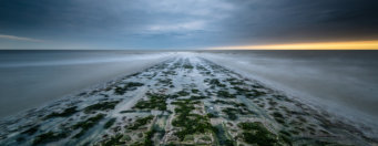 Michael Kannenberg - kamich.de