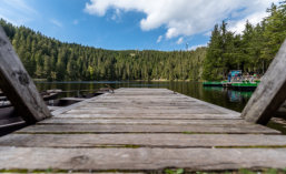 Michael Kannenberg - kamich.de