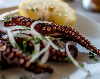 Michael Kannenberg - kamich.de