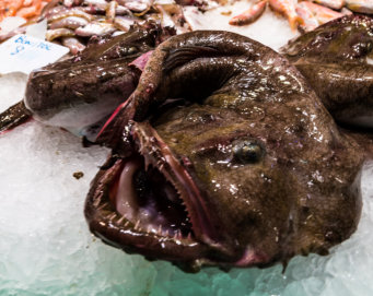 Michael Kannenberg - kamich.de