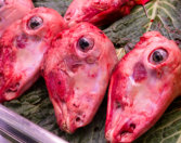 Michael Kannenberg - kamich.de