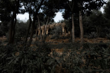 Michael Kannenberg - kamich.de